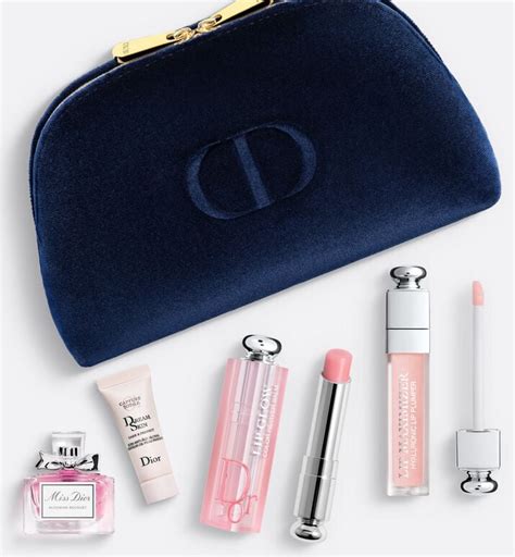 dior solar pouch